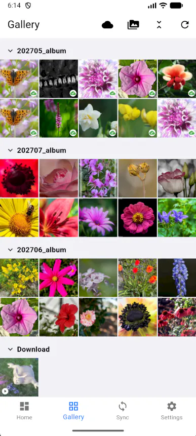 pictureMng gallery image