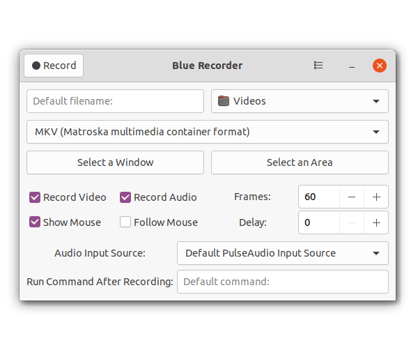 Blue Recorder media 1