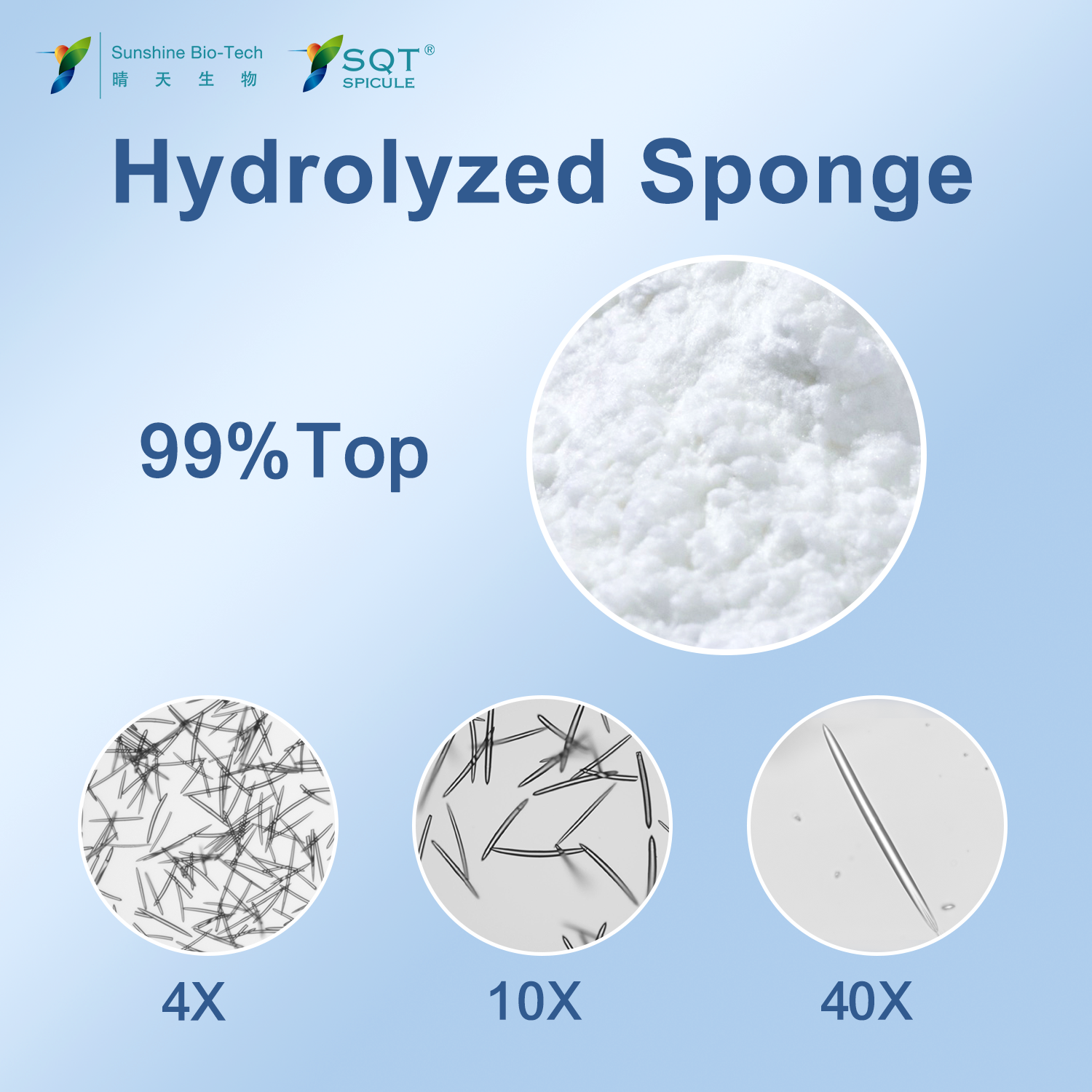 Sponge spiculs