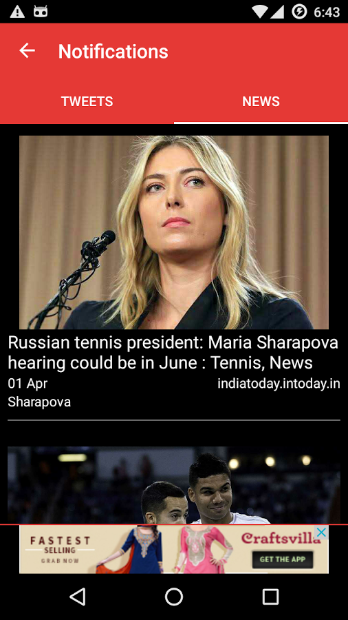 Sports Fan gallery image