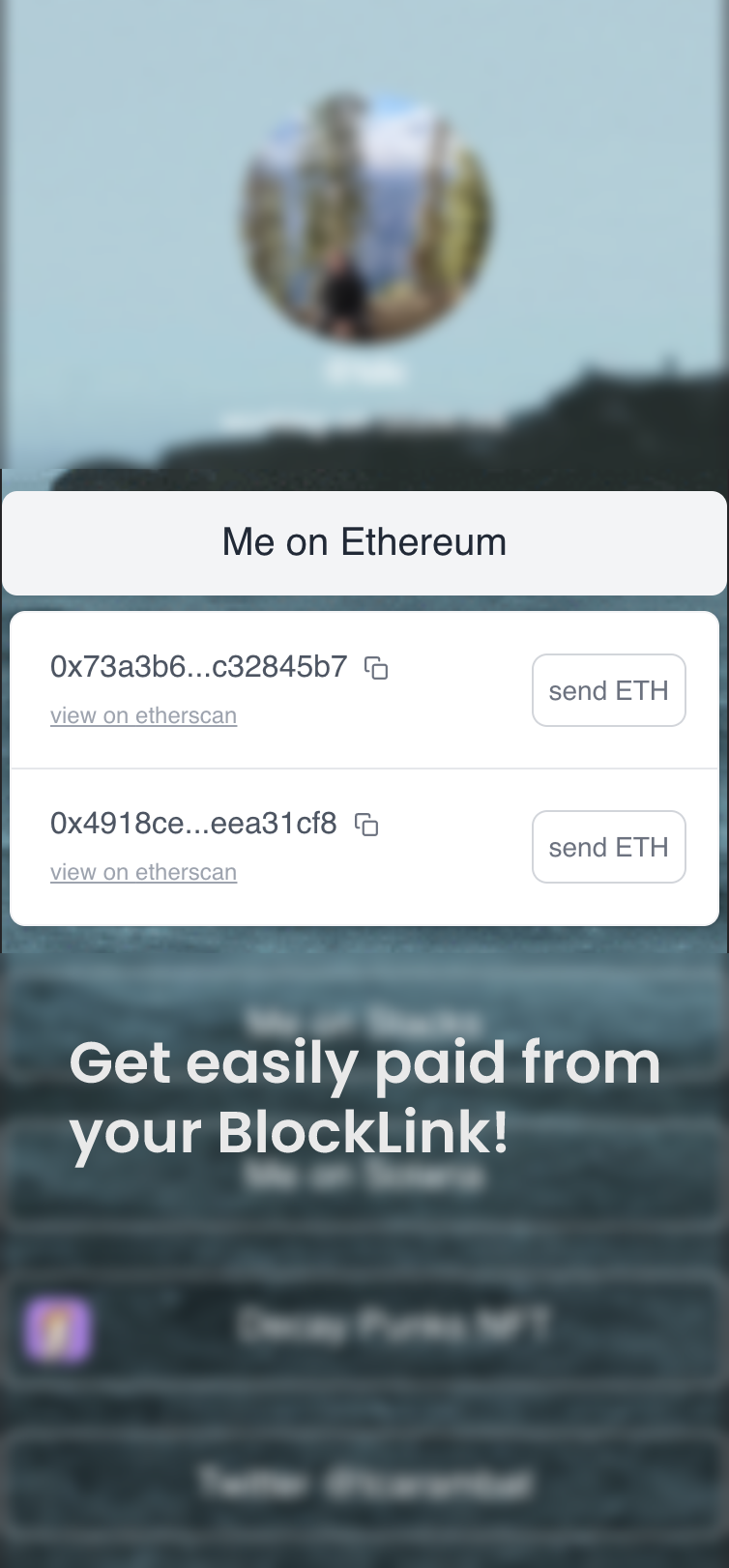 BlockLink gallery image