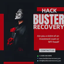 BTC RECOVERY HIRE HACK BUSTER RECOVERY gallery image