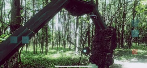 Bacydar gallery image