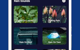 Rain Sounds for Sleep media 2