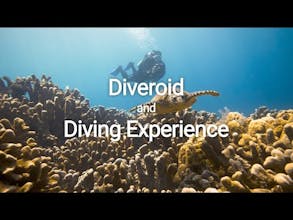 DIVEROID gallery image