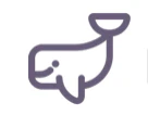 Datawhale V5