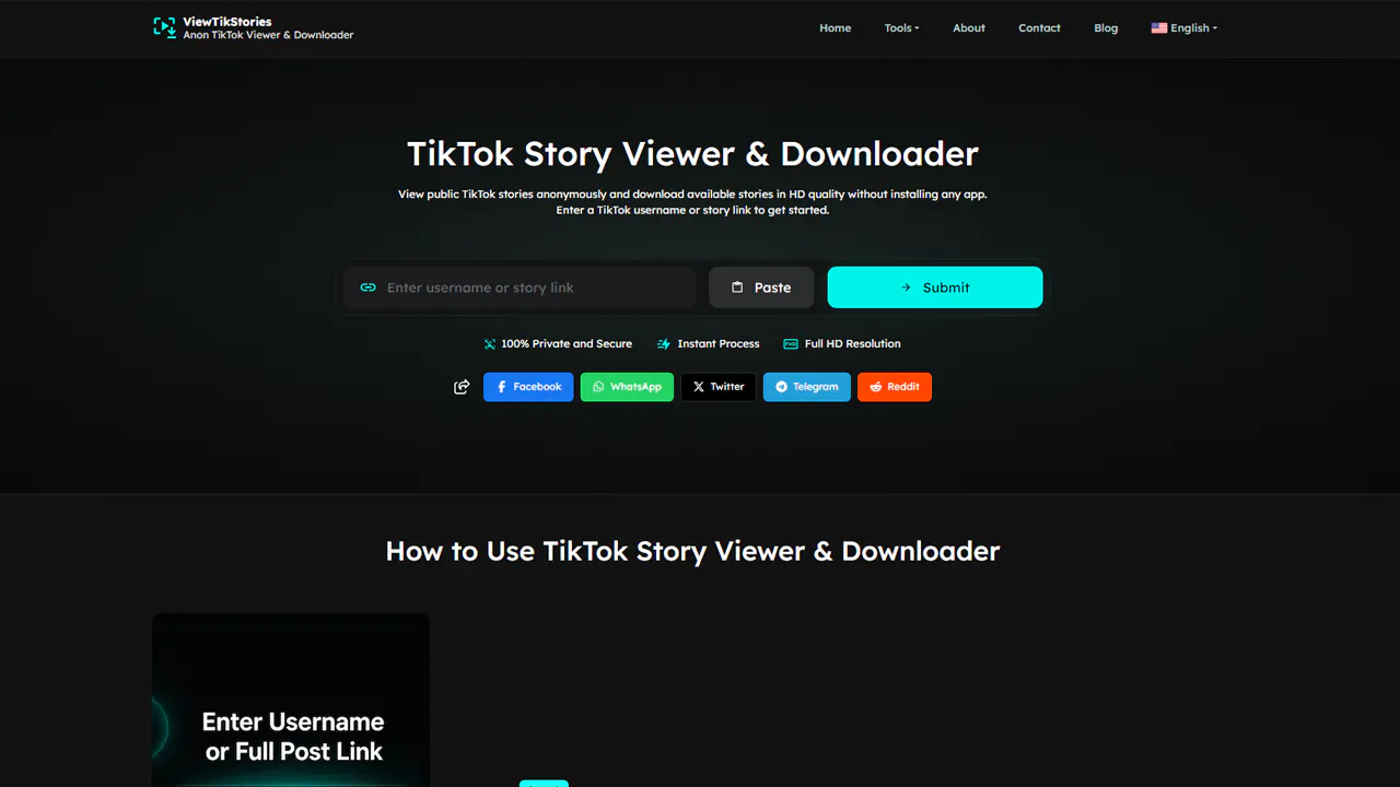 ViewTikStories gallery image