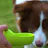 One-hand Watering Bottle for Dog