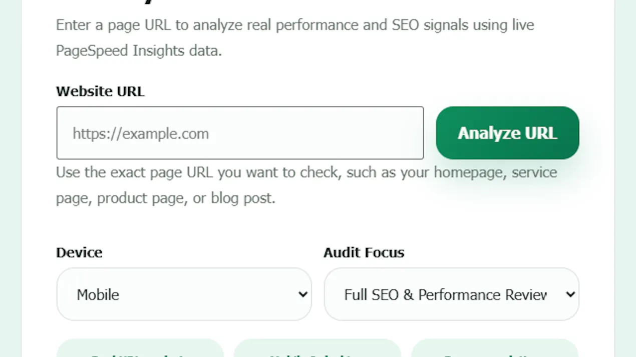 Octteen SEO Audit Tool product