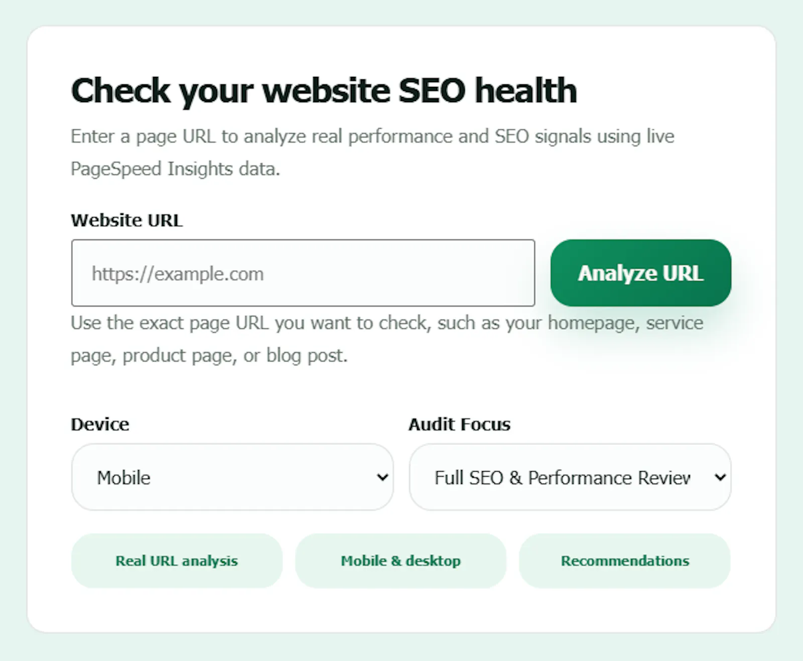 Octteen SEO Audit Tool screenshot 1