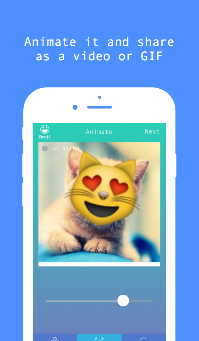 Shuggie gallery image