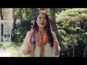 Gem Box - 5pcs Crystal Treats gallery image