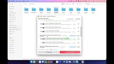 DedupX gallery image