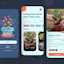 Fundraising App Design