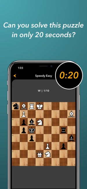 SKchess gallery image