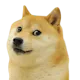 Make Funny Memes