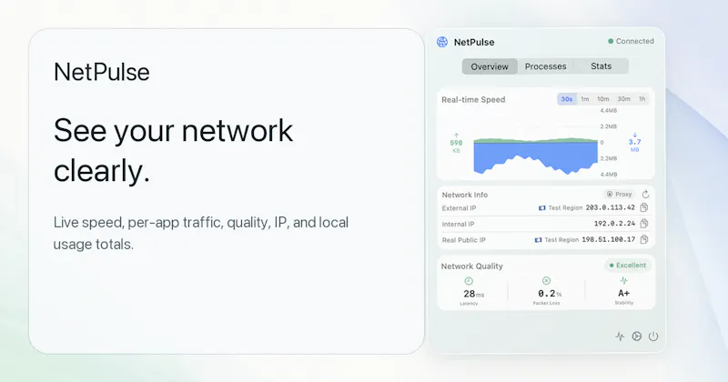 NetPulse screenshot 1