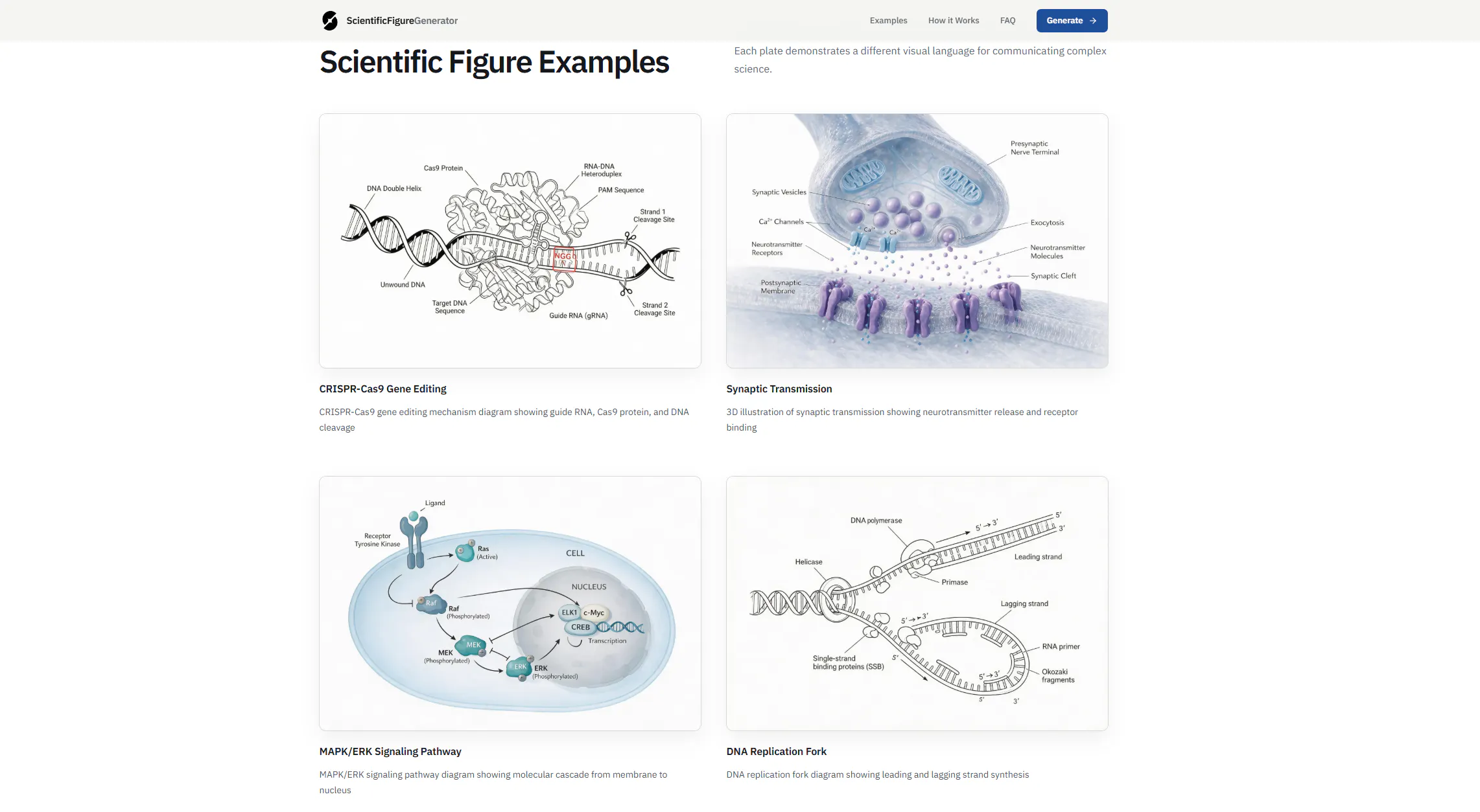 Scientific Figure Generator gallery image