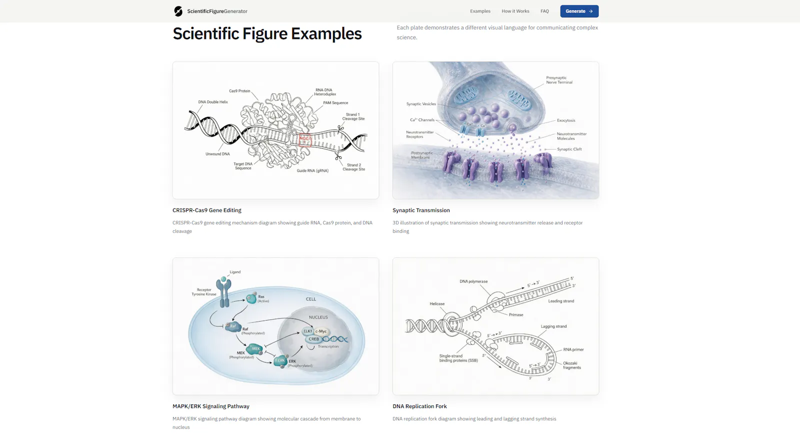 Scientific Figure Generator screenshot 3