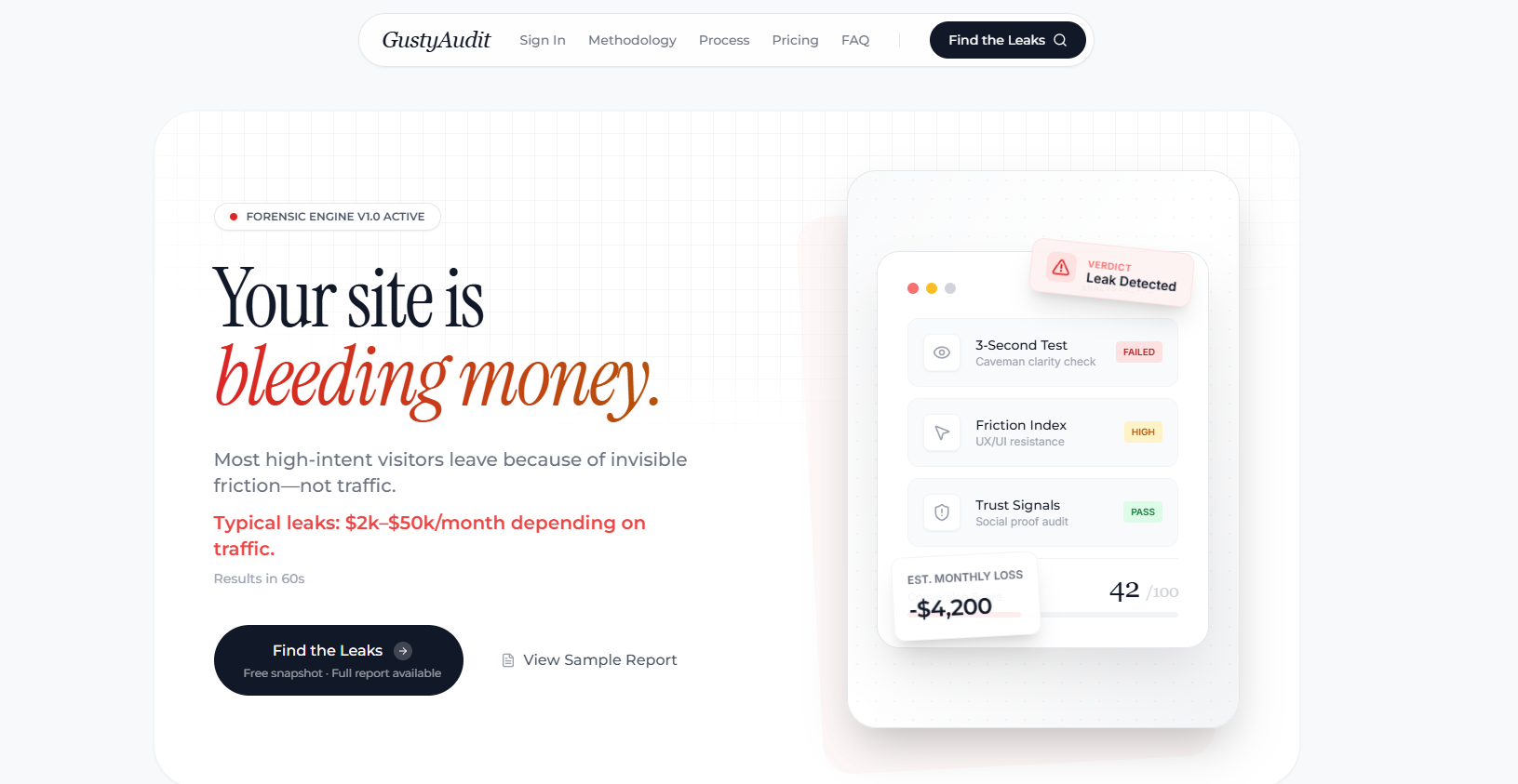 GustyAudit gallery image