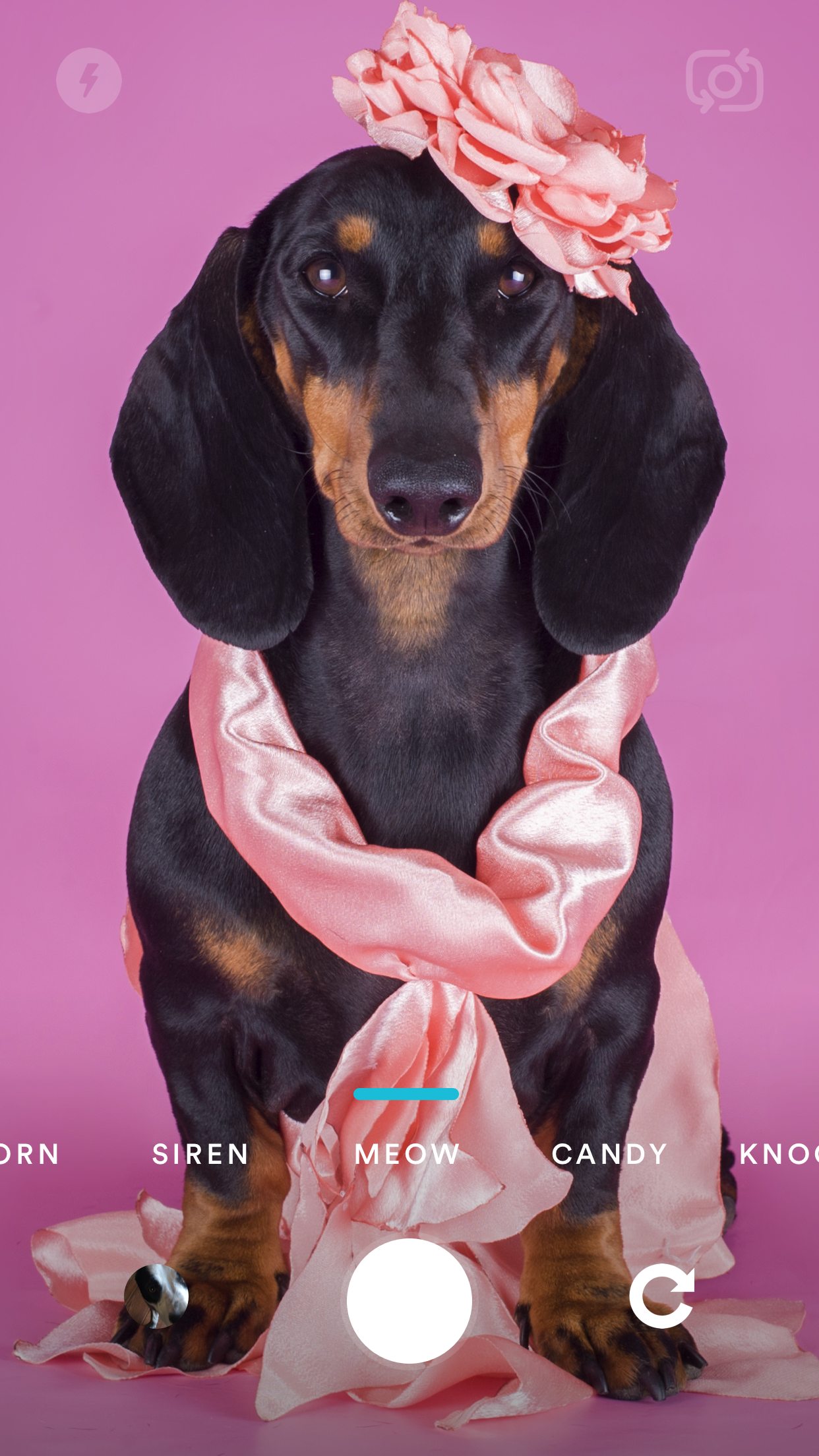 Wagcam 1.5 gallery image