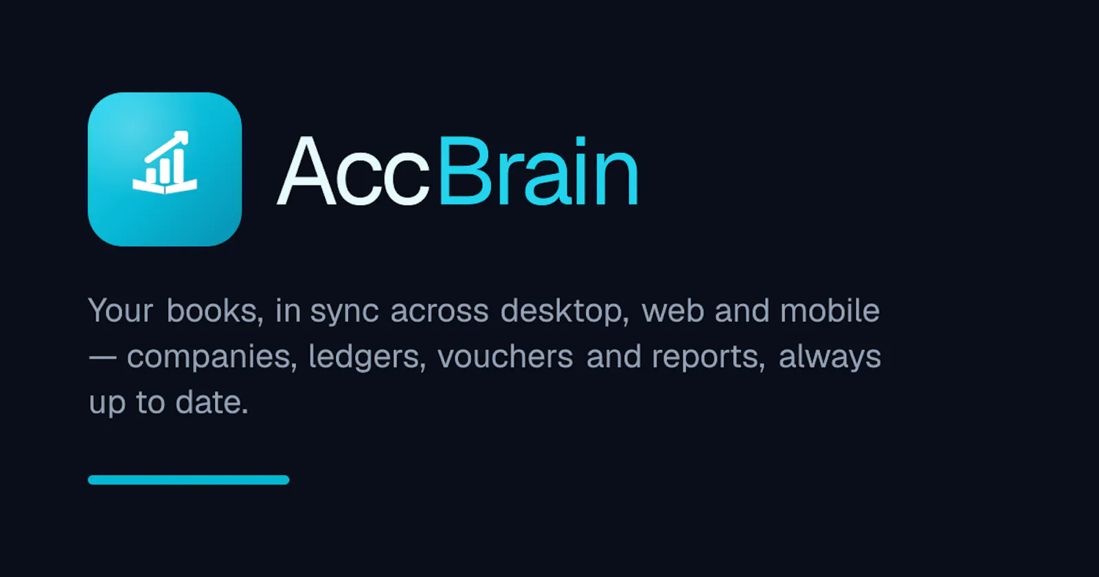 AccBrain screenshot 2
