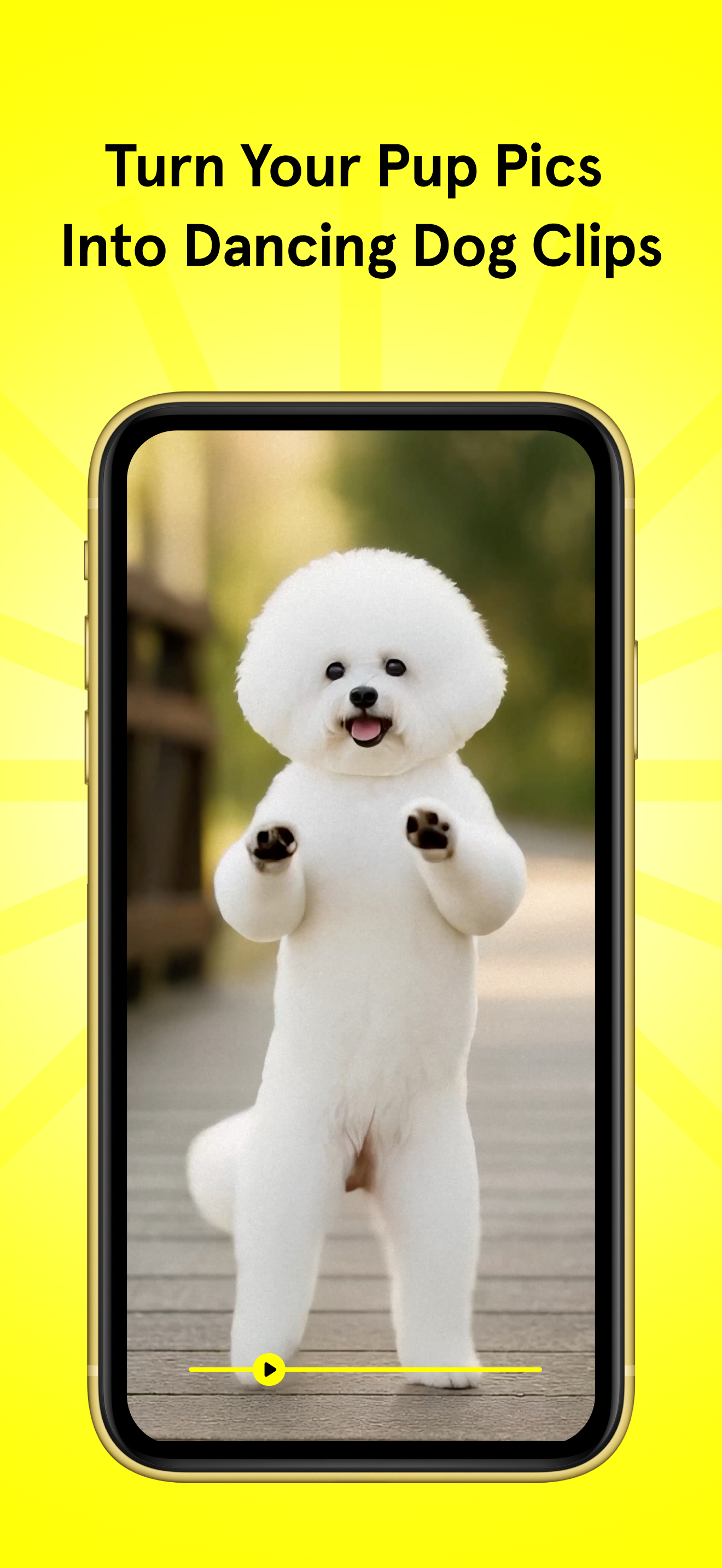Dancing Dogs app - Turn dog pics into dancing dog videos via AI (hover icon 🤣) media 3