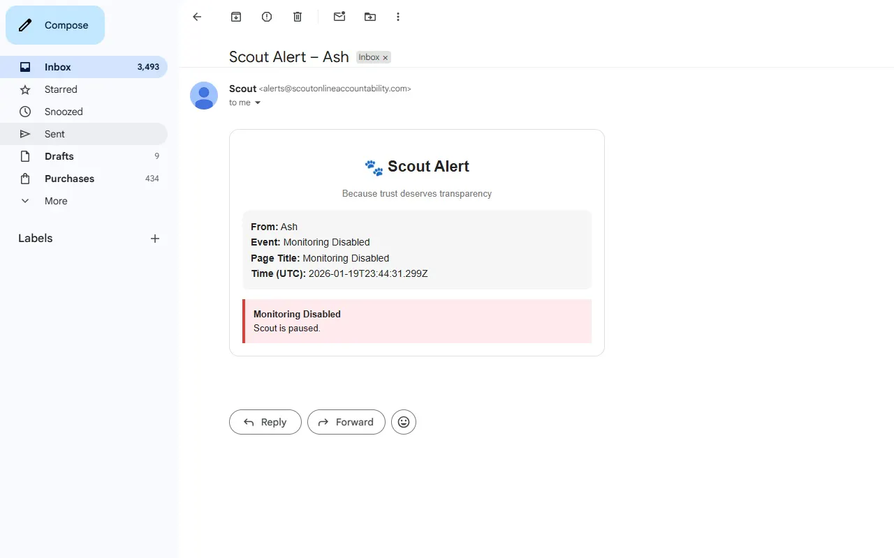 Scout - Online Accountability gallery image