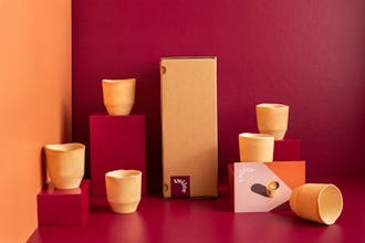 twiice gallery image