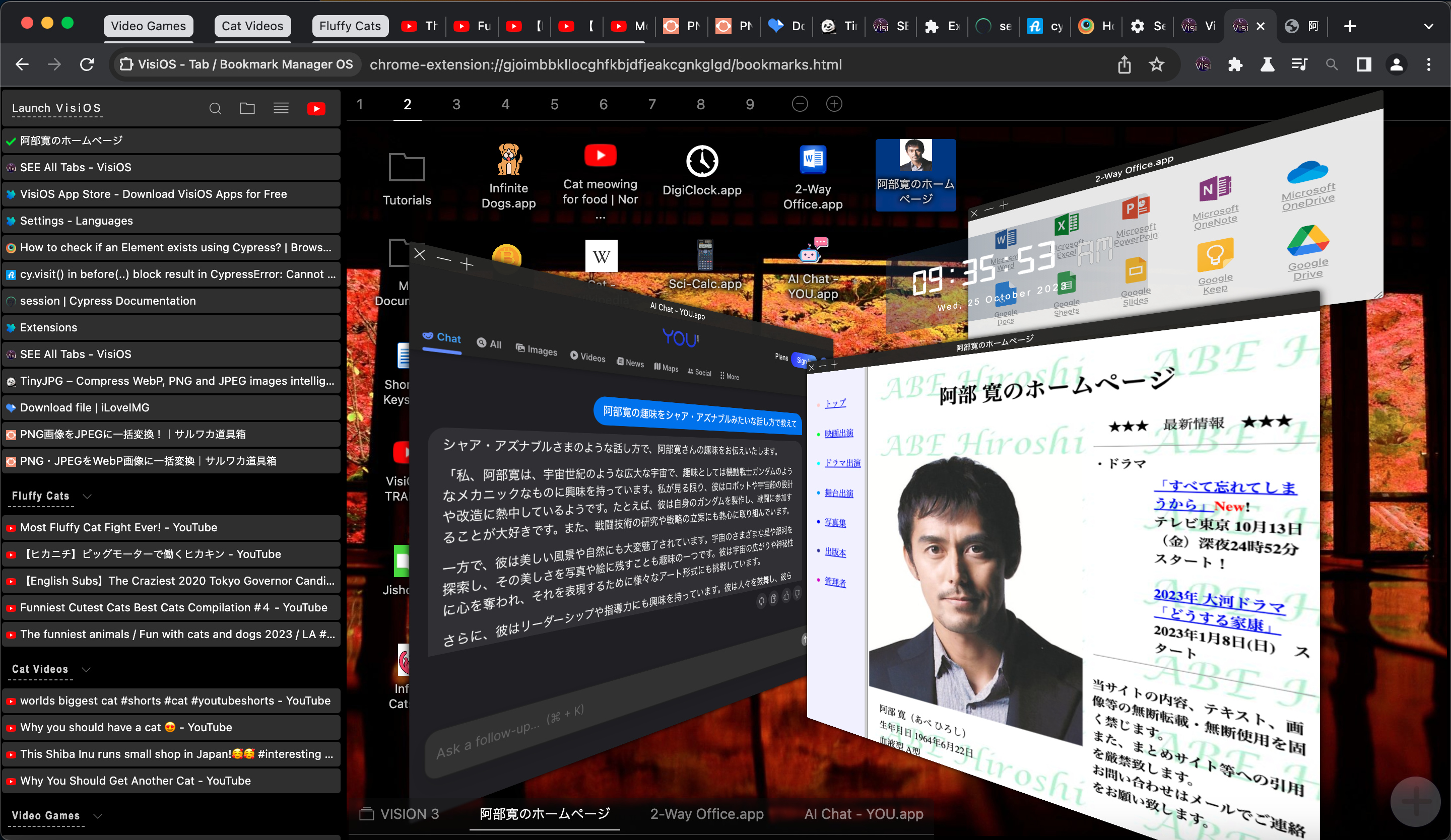 Visios - Tab/Bookmark Manager OS medya 12