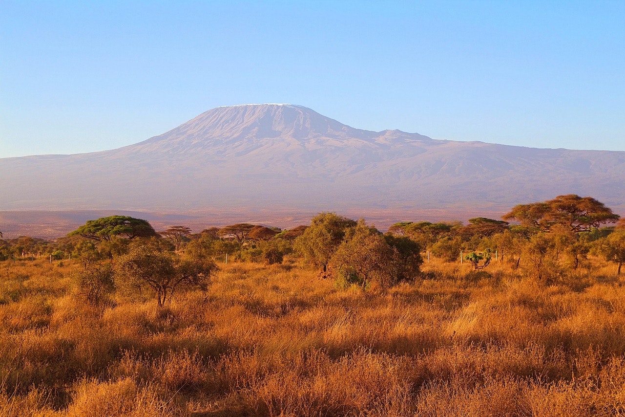Africantrust Safari gallery image