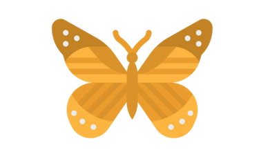 Fable Dazzle gallery image