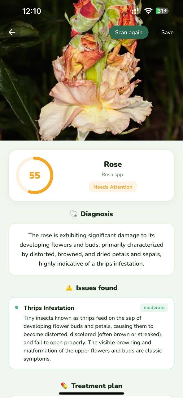 Plantzen - AI Plant Identifier gallery image