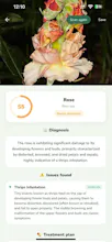 Plantzen - AI Plant Identifier gallery image