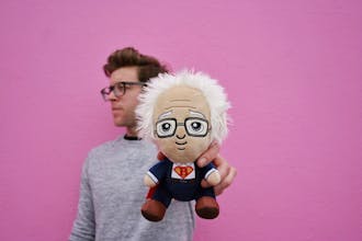 Bernie Babies gallery image