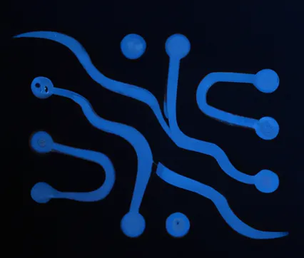 NeuraNetwork