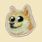 UpDog Influencer Analytics