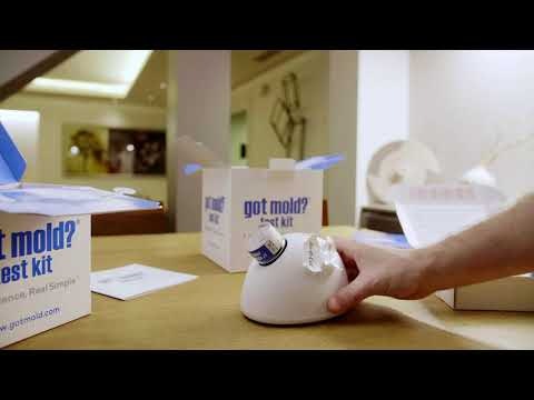 GOT MOLD?® Test Kit gallery image