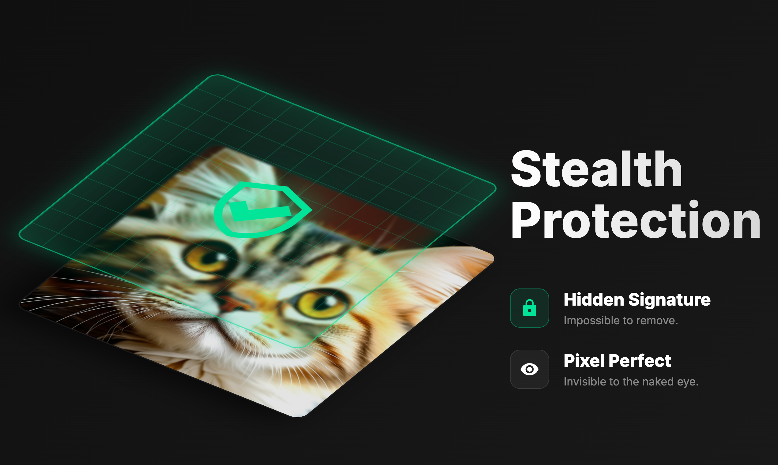 InvisMark - Screenshot 2 showing product features and functionality
