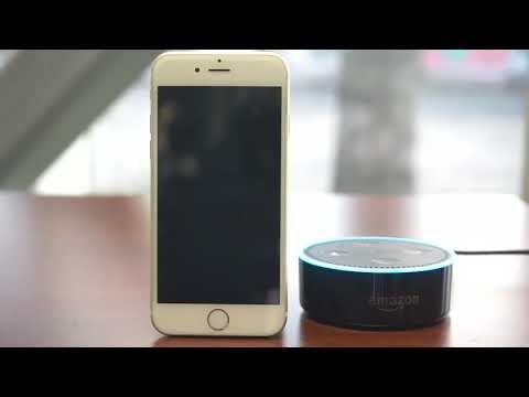 Speak Up America gallery image