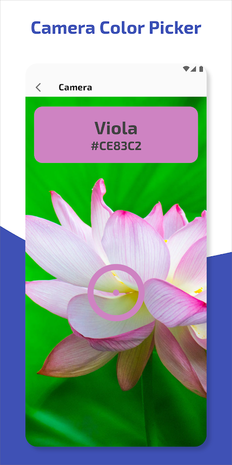 Colors: for Designers & Artists gallery image