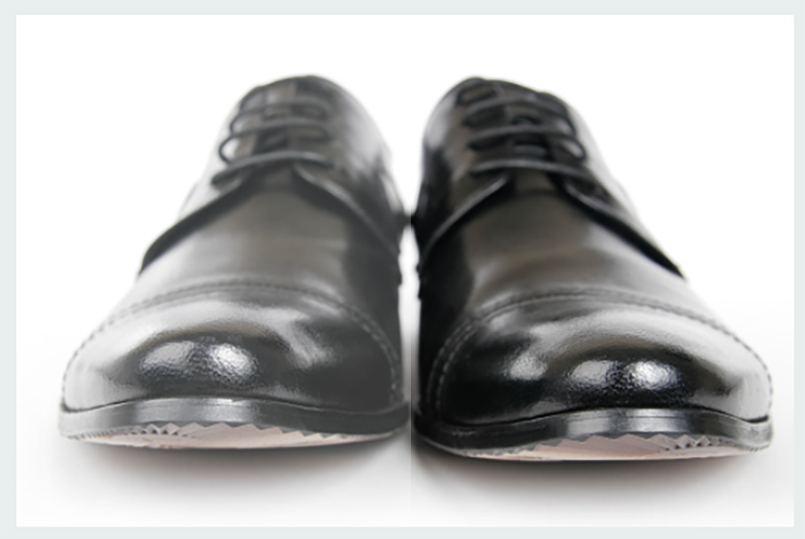 Equerry - The World's Premier Shoe Shiner gallery image