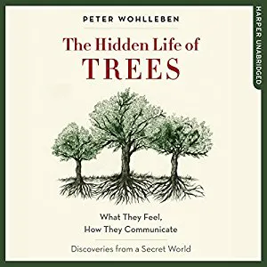 The Hidden Life of Trees