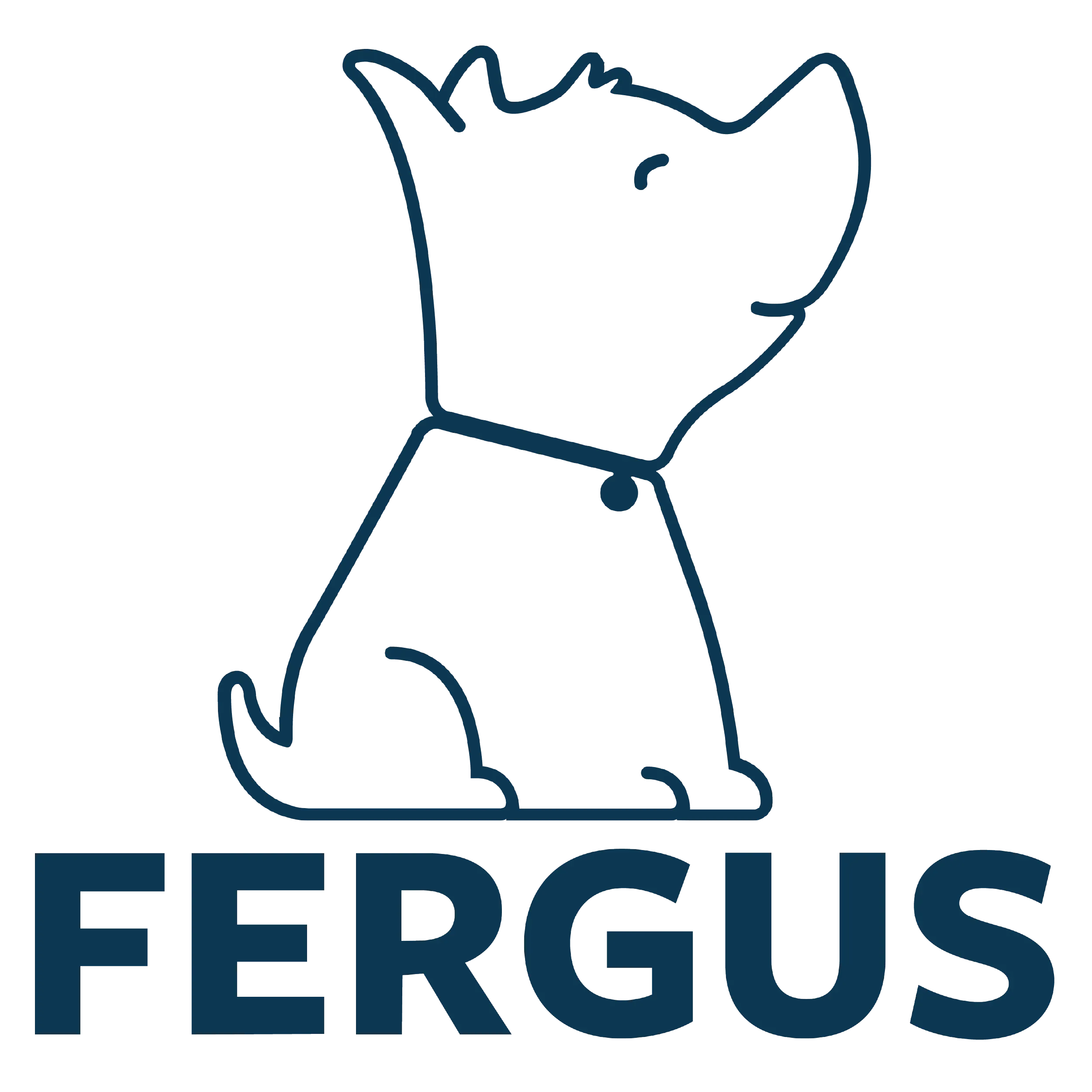 Fergus