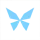Kite