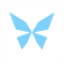 Kite