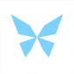 Kite