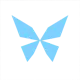 Kite