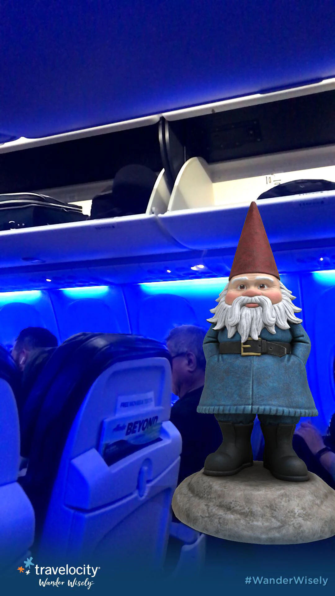 The Roaming Gnome