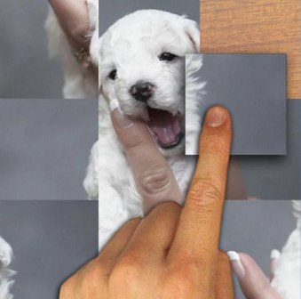 Puppy Puzzle gallery image